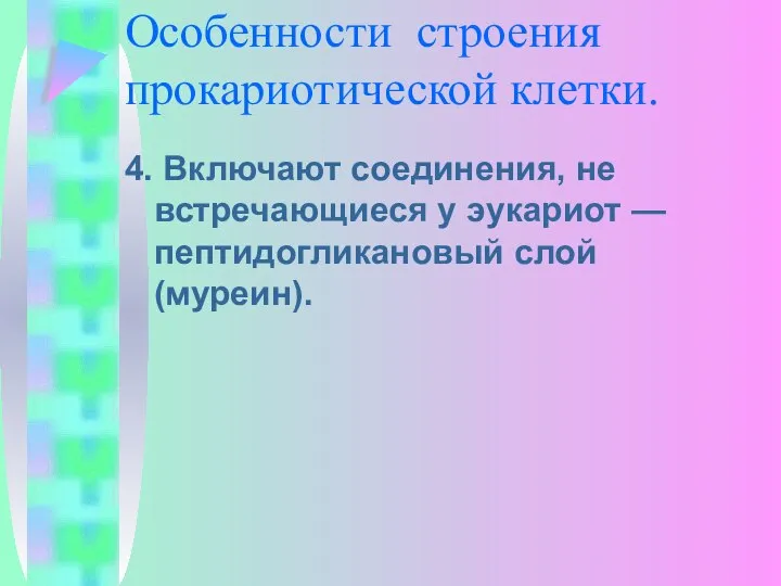 Особенности строения прокариотической клетки. 4. Включают соединения, не встречающиеся у эукариот — пептидогликановый слой (муреин).