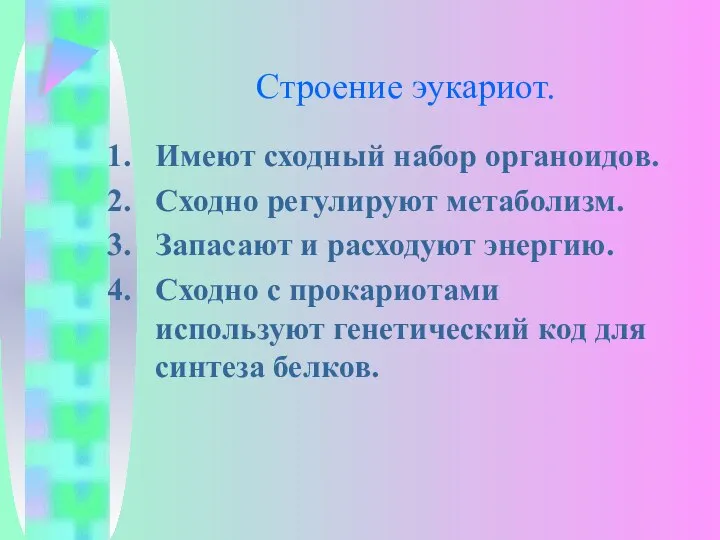 Строение эукариот. Имеют сходный набор органоидов. Сходно регулируют метаболизм. Запасают и