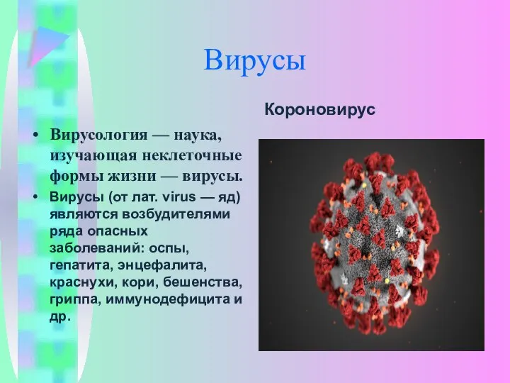 Вирусы Короновирус Вирусология — наука, изучающая неклеточные формы жизни — вирусы.