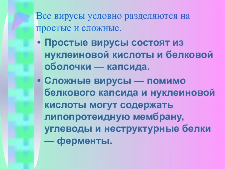 Все вирусы условно разделяются на простые и сложные. Простые вирусы состоят