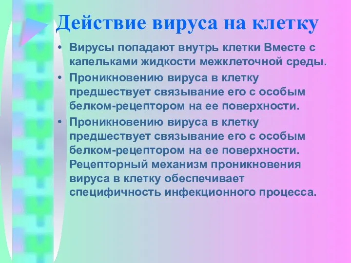 Действие вируса на клетку Вирусы попадают внутрь клетки Вместе с капельками