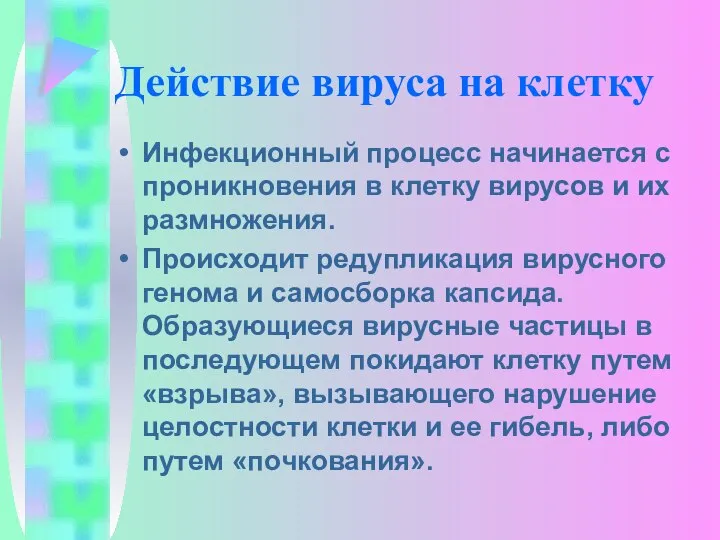 Действие вируса на клетку Инфекционный процесс начинается с проникновения в клетку