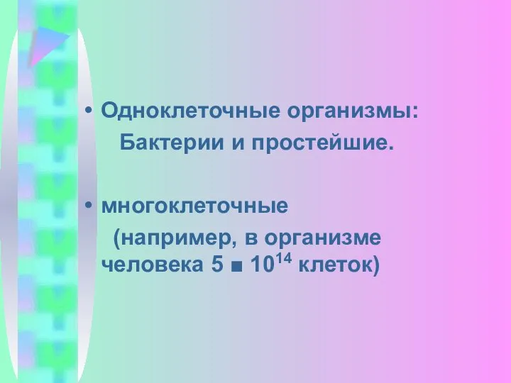 Одноклеточные организмы: Бактерии и простейшие. многоклеточные (например, в организме человека 5 ■ 1014 клеток)