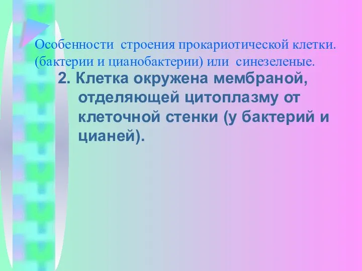 Особенности строения прокариотической клетки. (бактерии и цианобактерии) или синезеленые. 2. Клетка