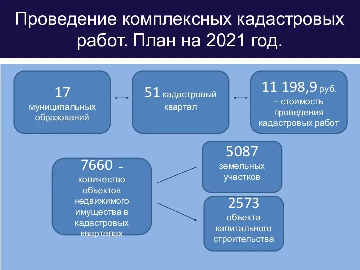 Проведение комплексных кадастровых работ. План на 2021 год. 17 муниципальных образований