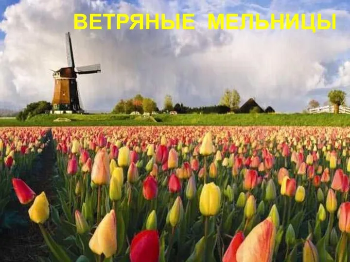 ВЕТРЯНЫЕ МЕЛЬНИЦЫ