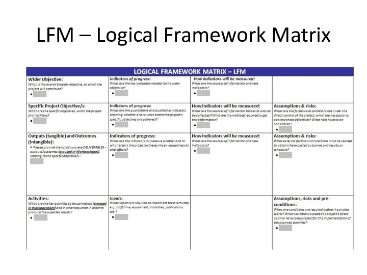 LFM – Logical Framework Matrix