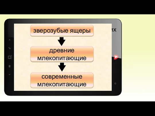 Меланодон – один из древнейших предков млекопитающих. зверозубые ящеры древние млекопитающие современные млекопитающие