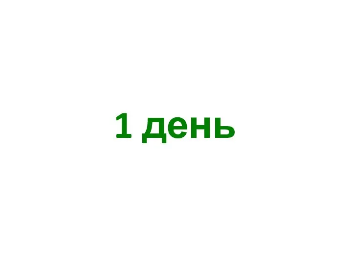 1 день