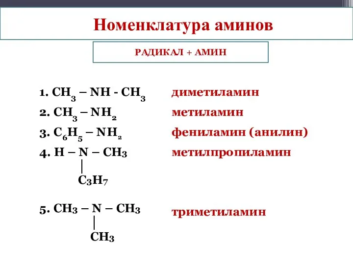 Номенклатура аминов РАДИКАЛ + АМИН 1. СН3 – NН - СН3