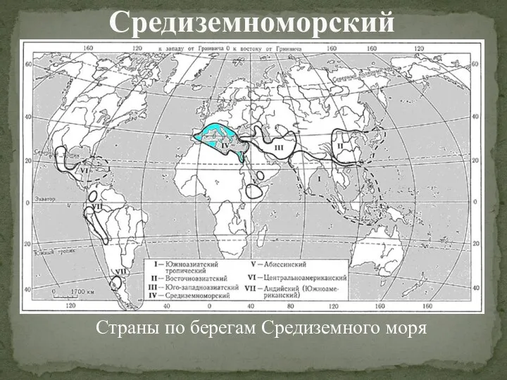 Средиземноморский Страны по берегам Средиземного моря