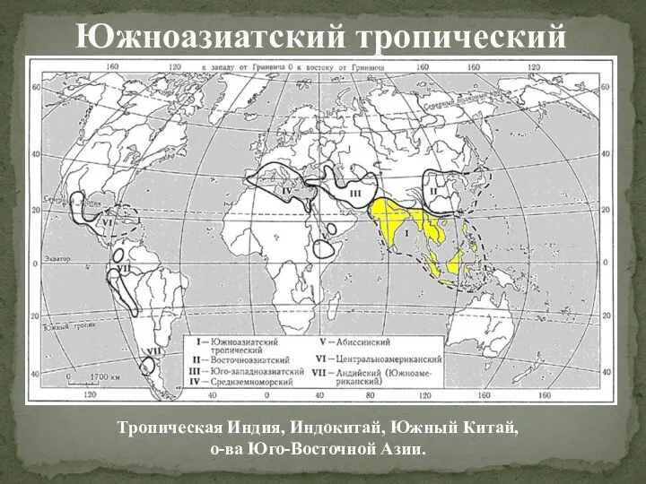 Южноазиатский тропический Тропическая Индия, Индокитай, Южный Китай, о-ва Юго-Восточной Азии.