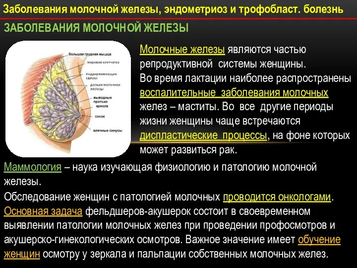 Заболевания молочной железы, эндометриоз и трофобласт. болезнь ЗАБОЛЕВАНИЯ МОЛОЧНОЙ ЖЕЛЕЗЫ Молочные