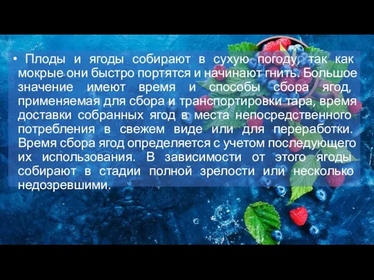 Плоды и ягоды собирают в сухую погоду, так как мокрые они