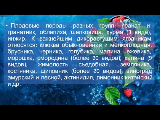 Плодовые породы разных групп: гранат и гранатник, облепиха, шелковица, хурма (3