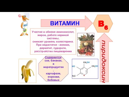 ВИТАМИН B6 пиридоксин Участие в обмене аминокислот, жиров, работе нервной системы,