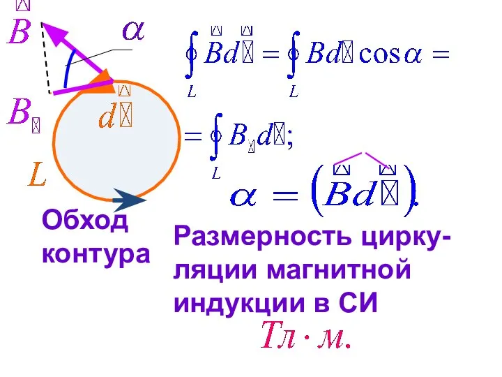 Обход контура Размерность цирку-ляции магнитной индукции в СИ