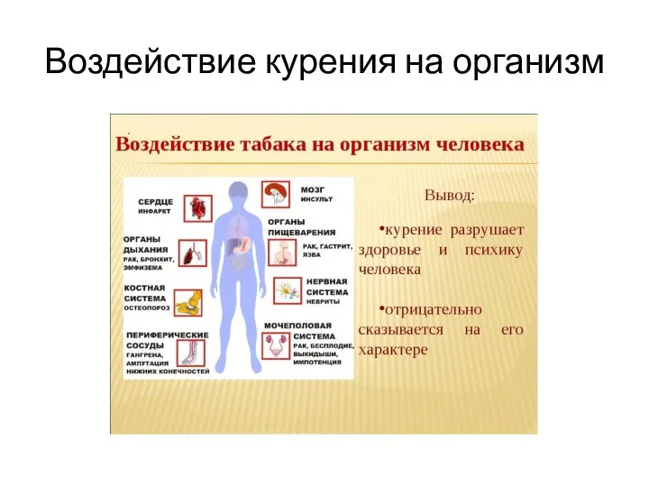 Воздействие курения на организм