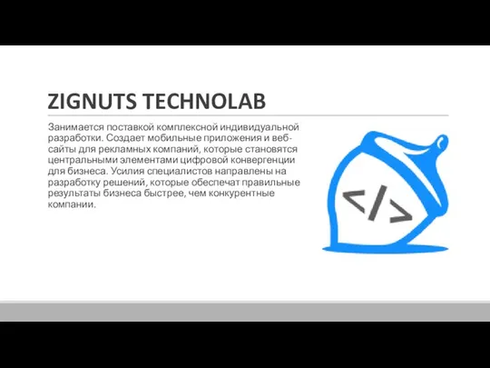 ZIGNUTS TECHNOLAB Занимается поставкой комплексной индивидуальной разработки. Создает мобильные приложения и