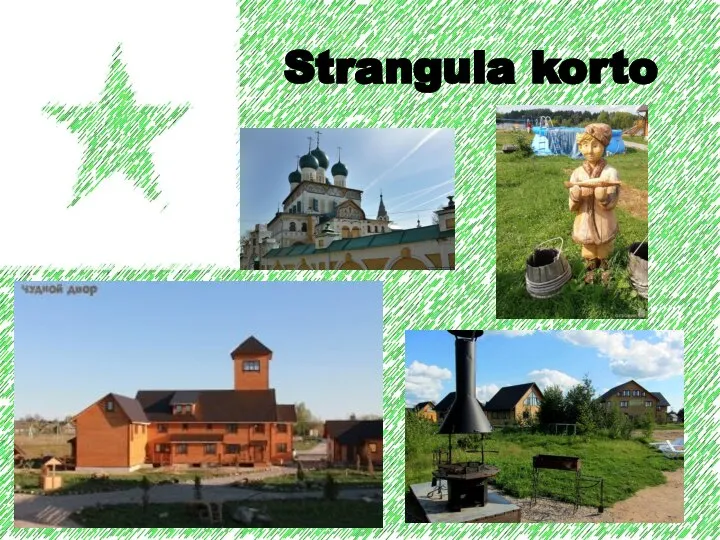 Strangula korto