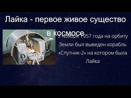 Лайка - первое живое существо в космосе 3 ноября 1957 года