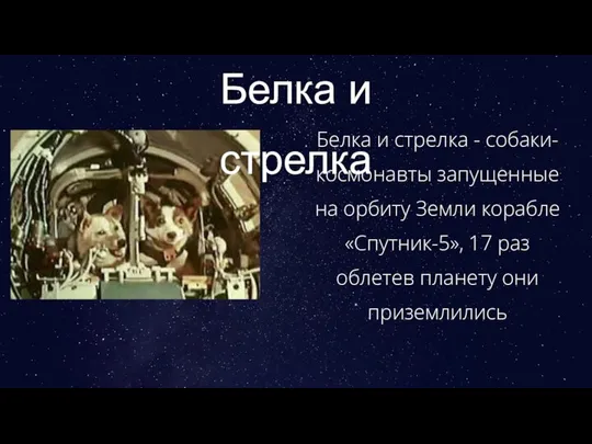 Белка и стрелка Белка и стрелка - собаки-космонавты запущенные на орбиту