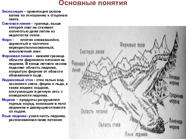 Основные понятия Экспозиция – ориентация склона холма по отношению к сторонам