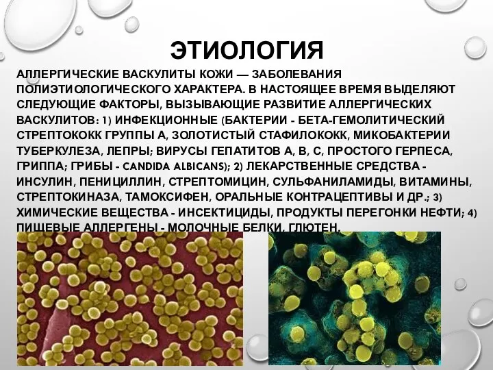 ЭТИОЛОГИЯ АЛЛЕРГИЧЕСКИЕ ВАСКУЛИТЫ КОЖИ — ЗАБОЛЕВАНИЯ ПОЛИЭТИОЛОГИЧЕСКОГО ХАРАКТЕРА. В НАСТОЯЩЕЕ ВРЕМЯ