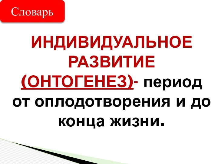 ИНДИВИДУАЛЬНОЕ РАЗВИТИЕ (ОНТОГЕНЕЗ)- период от оплодотворения и до конца жизни. Словарь