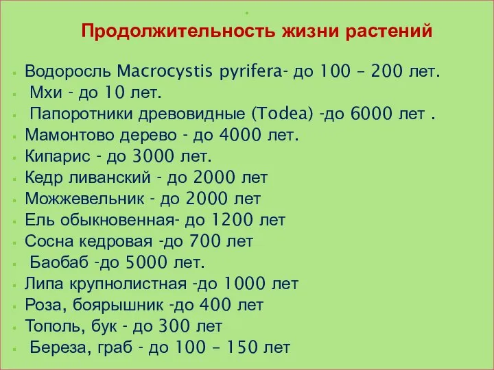 Продолжительность жизни растений Водоросль Macrocystis pyrifera- до 100 – 200 лет.