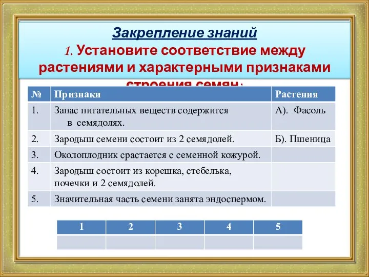 Закрепление знаний 1. Установите соответствие между растениями и характерными признаками строения семян: