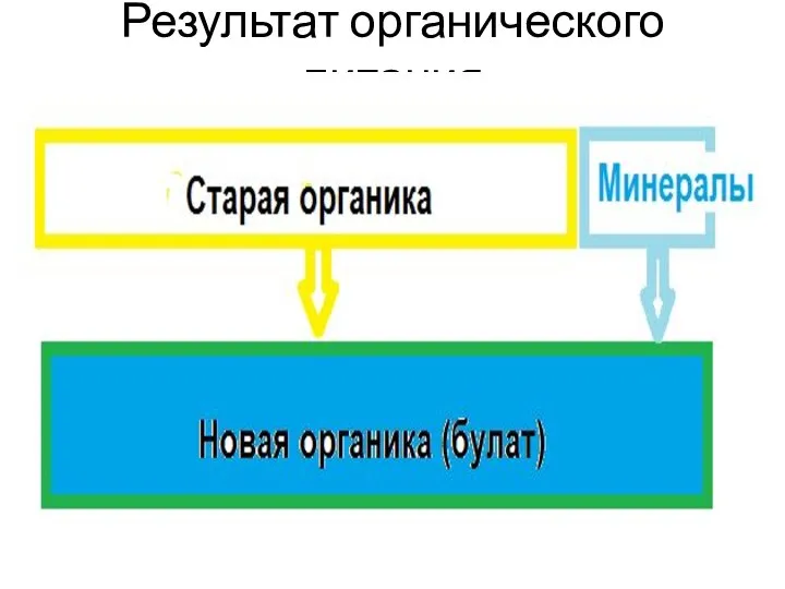 Результат органического питания