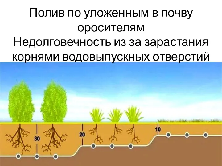 Полив по уложенным в почву оросителям Недолговечность из за зарастания корнями водовыпускных отверстий