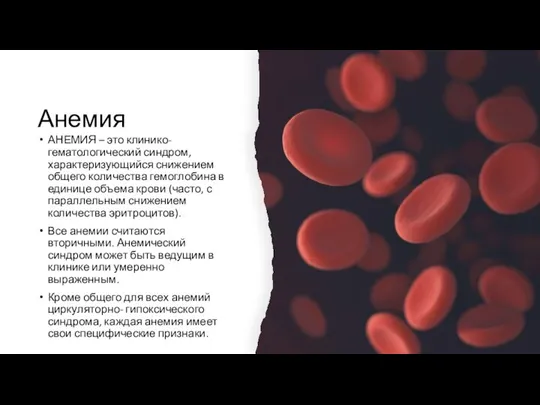 Анемия АНЕМИЯ – это клинико-гематологический синдром, характеризующийся снижением общего количества гемоглобина