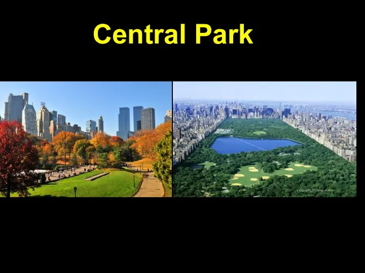 Central Park