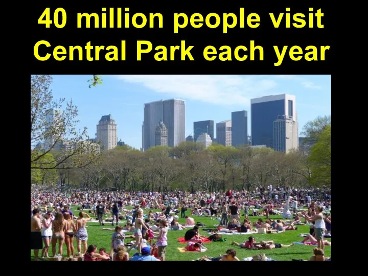 40 million people visit Central Park each year