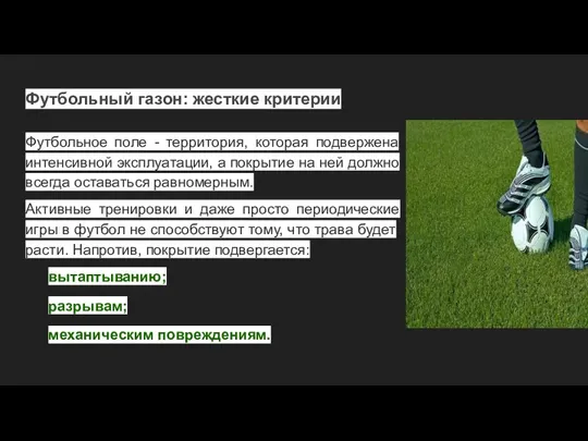 Футбольный газон: жесткие критерии Футбольное поле - территория, которая подвержена интенсивной