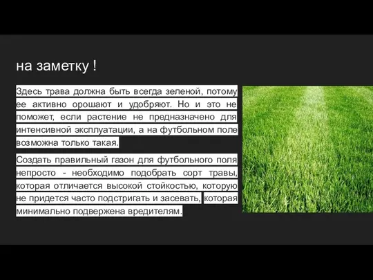 на заметку ! Здесь трава должна быть всегда зеленой, потому ее