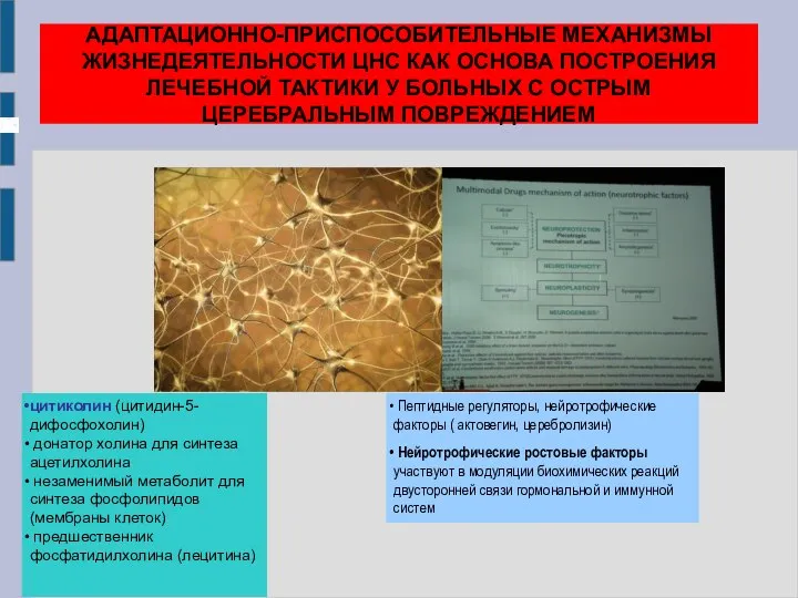 АДАПТАЦИОННО-ПРИСПОСОБИТЕЛЬНЫЕ МЕХАНИЗМЫ ЖИЗНЕДЕЯТЕЛЬНОСТИ ЦНС КАК ОСНОВА ПОСТРОЕНИЯ ЛЕЧЕБНОЙ ТАКТИКИ У БОЛЬНЫХ