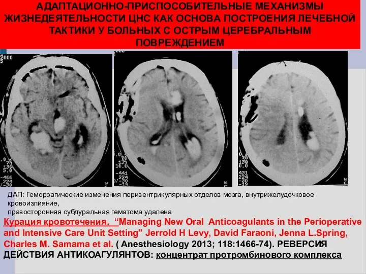 АДАПТАЦИОННО-ПРИСПОСОБИТЕЛЬНЫЕ МЕХАНИЗМЫ ЖИЗНЕДЕЯТЕЛЬНОСТИ ЦНС КАК ОСНОВА ПОСТРОЕНИЯ ЛЕЧЕБНОЙ ТАКТИКИ У БОЛЬНЫХ