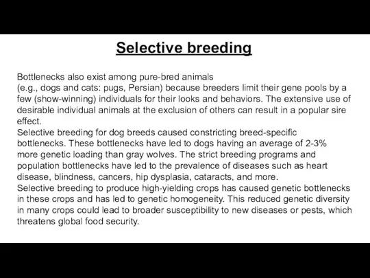 Selective breeding Bottlenecks also exist among pure-bred animals (e.g., dogs and