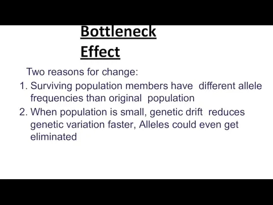 Bottleneck Effect Two reasons for change: Surviving population members have different