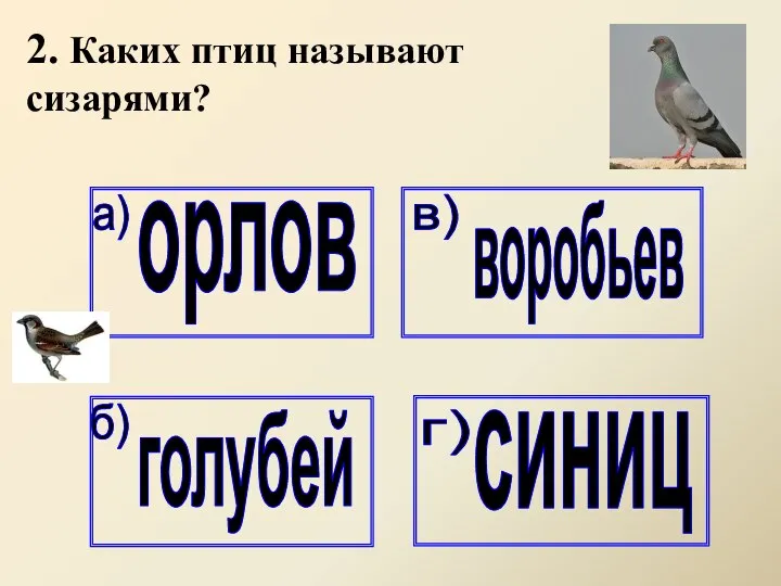 2. Каких птиц называют сизарями?