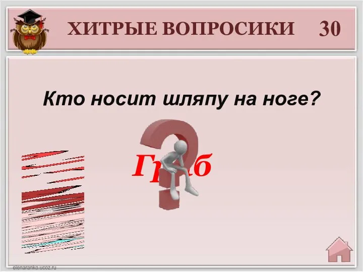 30 Гриб Кто носит шляпу на ноге? ХИТРЫЕ ВОПРОСИКИ