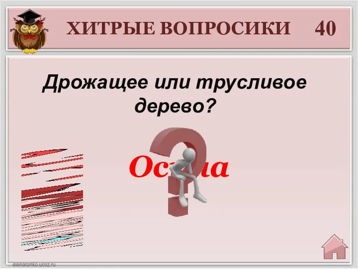 Дрожащее или трусливое дерево? 40 Осина ХИТРЫЕ ВОПРОСИКИ