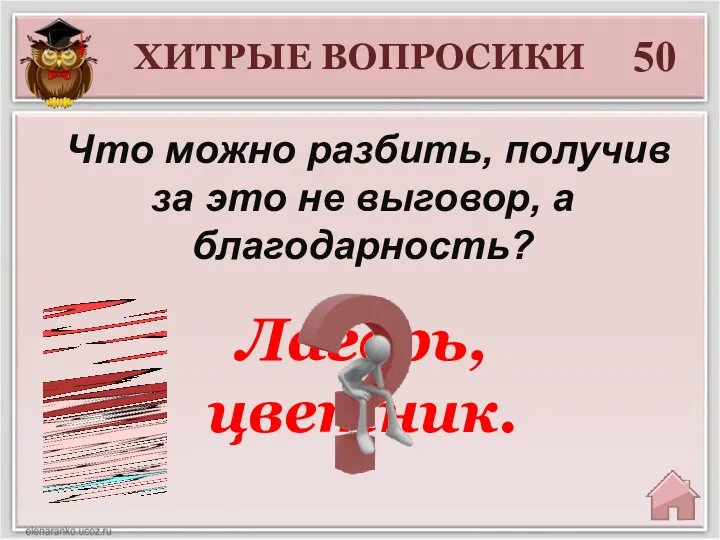 Что можно разбить, получив за это не выговор, а благодарность? 50 Лагерь, цветник. ХИТРЫЕ ВОПРОСИКИ