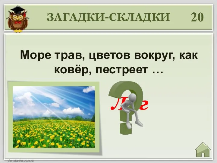 Луг 20 Море трав, цветов вокруг, как ковёр, пестреет … ЗАГАДКИ-СКЛАДКИ