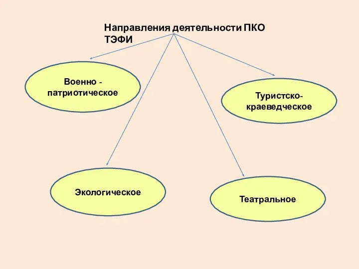 Направления деятельности ПКО ТЭФИ Военно - патриотическое Экологическое Туристско-краеведческое Театральное