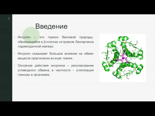 Введение Инсулин – это гормон белковой природы, образующийся в β-клетках островков