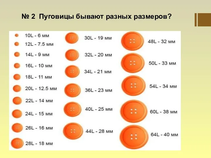 № 2 Пуговицы бывают разных размеров?